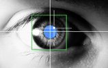 eye_tracking