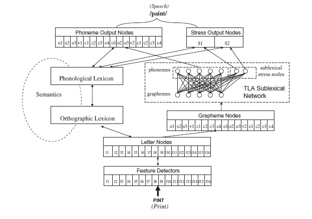 Cognitive model of online reading